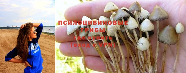 спиды Михайловка