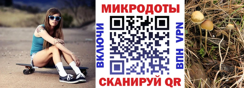 цена наркотик  МЕГА маркетплейс  Галлюциногенные грибы ЛСД  Навашино 